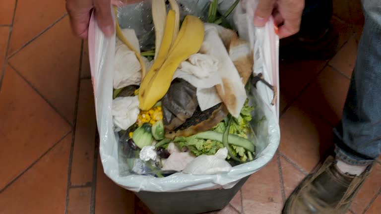 Best Recycling Services for Junk  in Harrison, MI